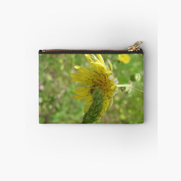 Item preview, Life Is A Celebration designed and sold by FlowersRHidden.
