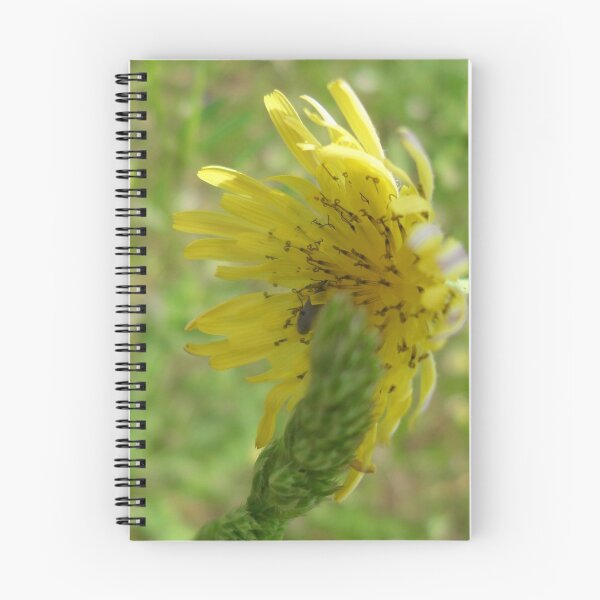 Item preview, Life Is A Celebration designed and sold by FlowersRHidden.