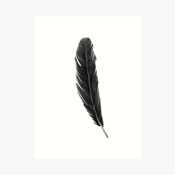 Crow Feather Art Print. - Echo-Lit