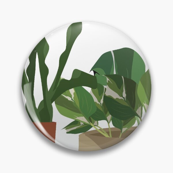 Item preview, Beautiful Sansevieria zeylanica green leaves and Epipremnum aureum or money plant for home decoration in the terracotta pot. White isolated designed and sold by KARTICK DUTTA.