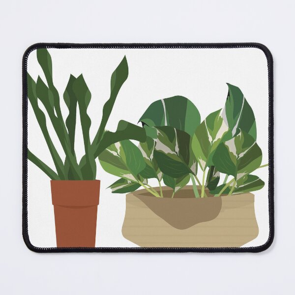 Item preview, Beautiful Sansevieria zeylanica green leaves and Epipremnum aureum or money plant for home decoration in the terracotta pot. White isolated designed and sold by KARTICK DUTTA.