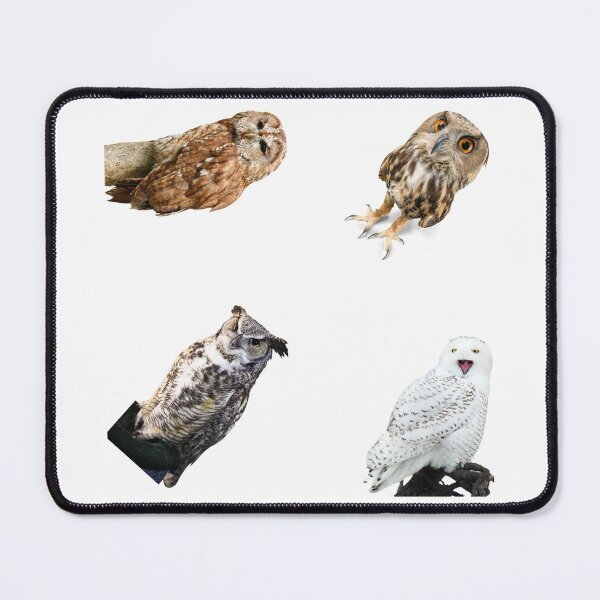 Item preview, 4th Unique Owls Stickers Pack. Essential For Every Owl Lover. Suitable For Laptops, Walls, Cars - Cute designed and sold by AnimalStickers-.