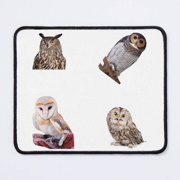 Item preview, 8th Unique Owls Stickers Pack. Essential For Every Owl Lover. Suitable For Laptops, Walls, Cars - Cute designed and sold by AnimalStickers-.