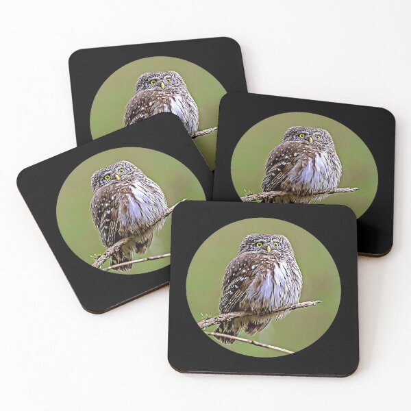 Item preview, Eurasian Pygmy Owl Portrait designed and sold by RevolutionInPaint.