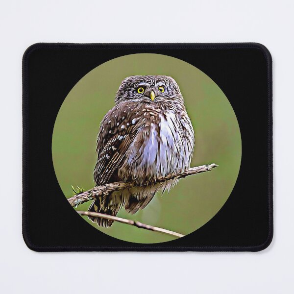 Item preview, Eurasian Pygmy Owl Portrait designed and sold by RevolutionInPaint.