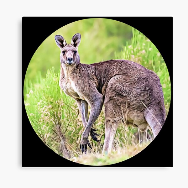 Item preview, Kangaroo Portrait designed and sold by KJCasey1982.