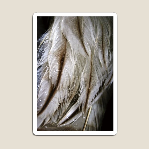 Item preview, owl feathers designed and sold by Hannele Luhtasela.