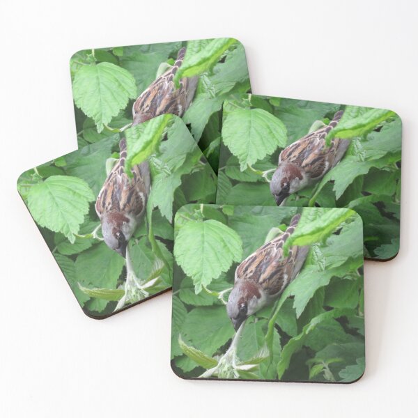 Item preview, little brown birdie- english countryside designed and sold by 1andydesign.