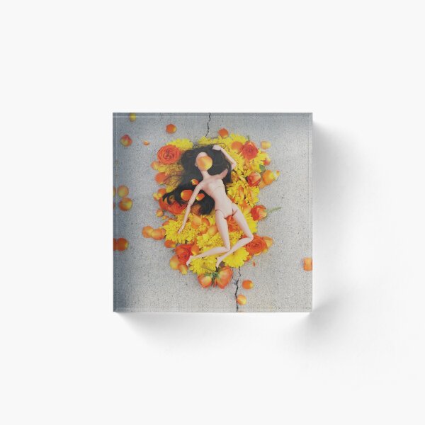 Fallen Acrylic Block