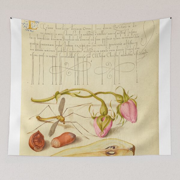 Item preview, Naturalist Manuscript Insect, Flowers, Fruit, and Calligraphy Illumination by Joris Hoefnagel  designed and sold by Naturalist Prints.