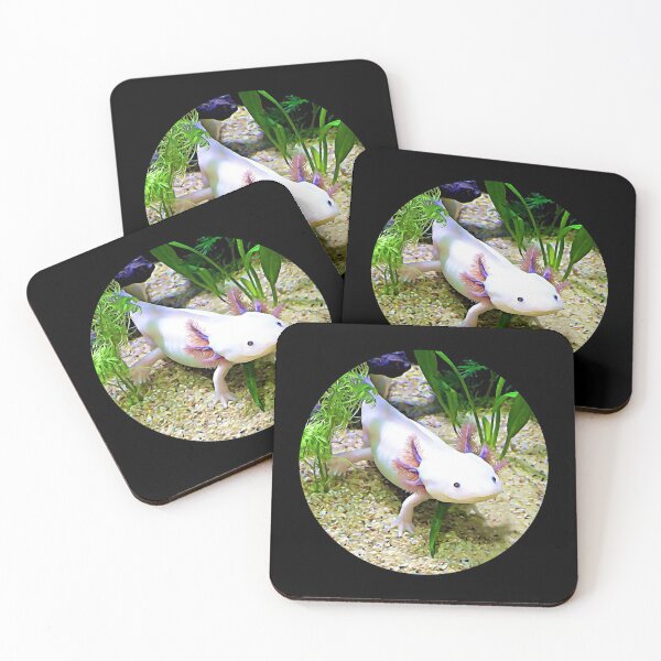 Axolotl Ears Coasters for Sale Redbubble