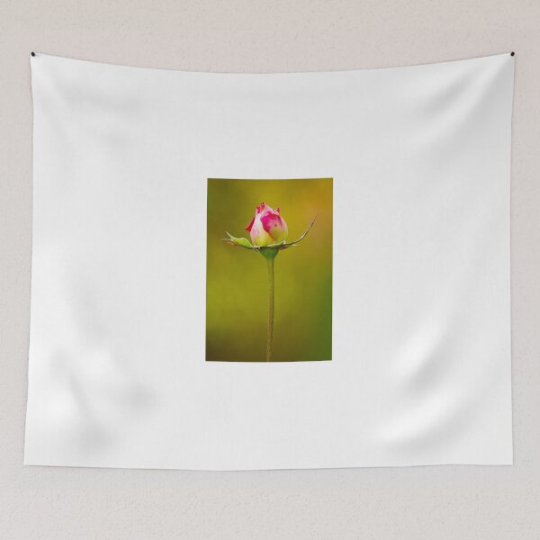 Item preview, Rose Bud designed and sold by BGSPhoto.