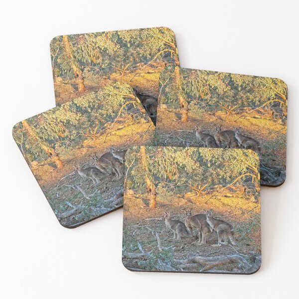 Item preview, 3 Kangaroos, Canberra, Austrlalia designed and sold by StevenRalserPhoto.