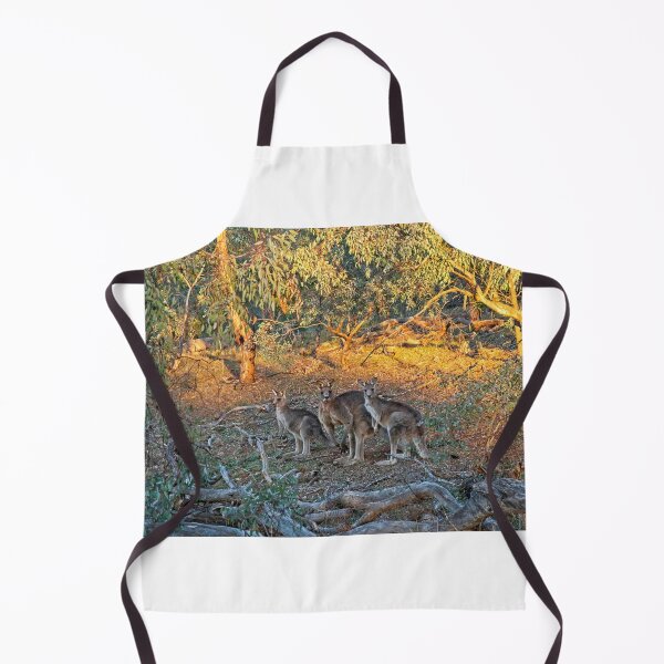 Item preview, 3 Kangaroos, Canberra, Austrlalia designed and sold by StevenRalserPhoto.
