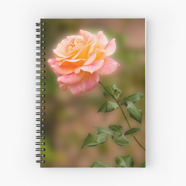 Item preview, Rose designed and sold by BGSPhoto.