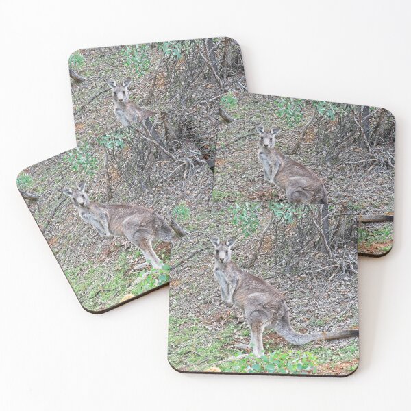 Item preview, Kangaroo, Canberra, Austrlalia designed and sold by StevenRalserPhoto.