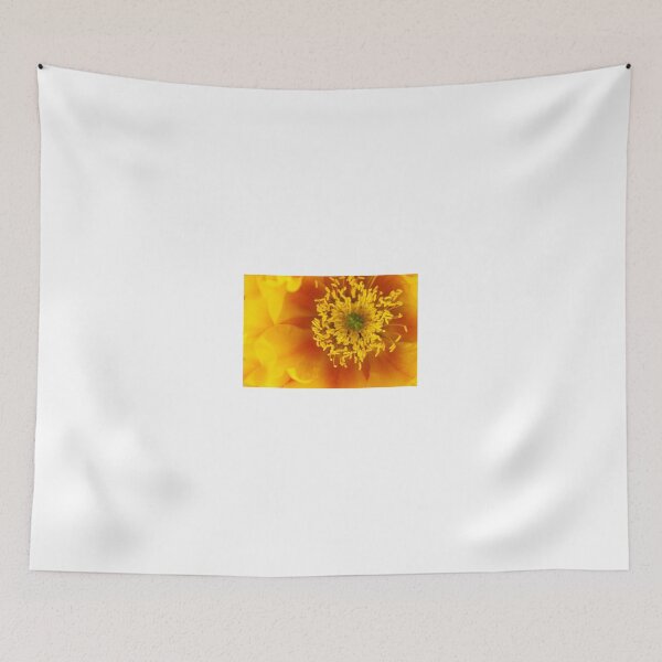 Item preview, Cactus Flower designed and sold by BGSPhoto.