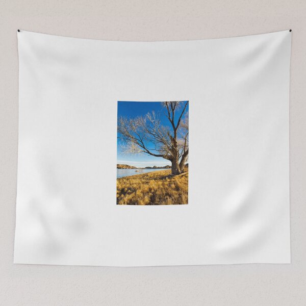 Item preview, Barren Tree designed and sold by BGSPhoto.