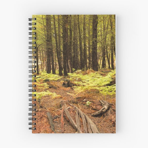 Item preview, Pine Forest designed and sold by BGSPhoto.