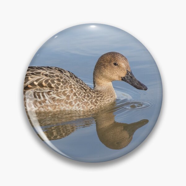 Item preview, Pintail designed and sold by LaurenTucker.