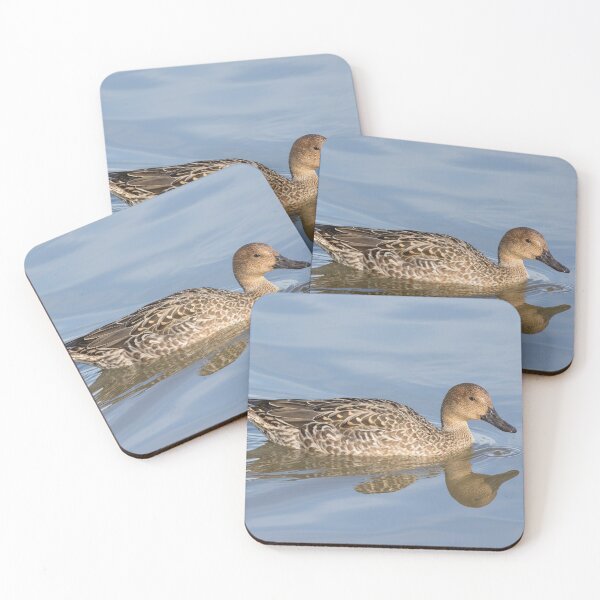 Item preview, Pintail designed and sold by LaurenTucker.