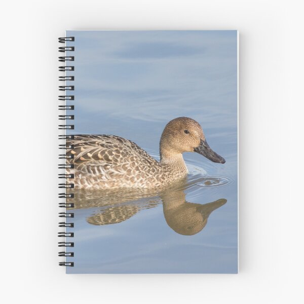 Item preview, Pintail designed and sold by LaurenTucker.
