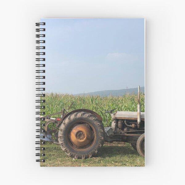 Item preview, 1952 Ferguson TEF20 With 2 furrow plough designed and sold by broady77.