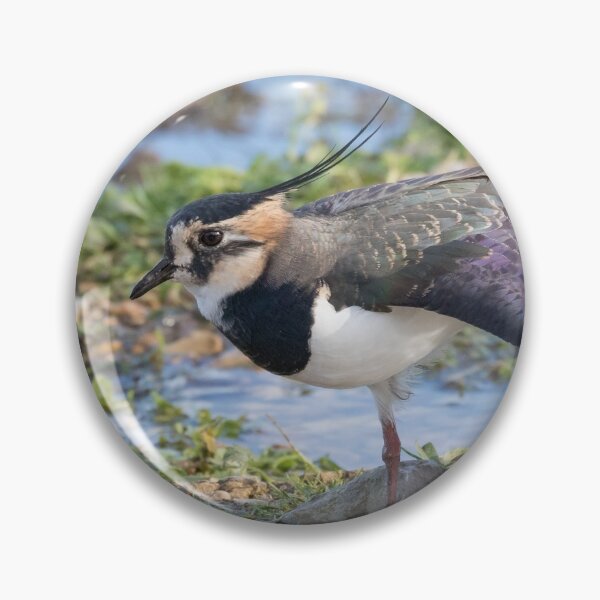 Item preview, Lapwing designed and sold by LaurenTucker.