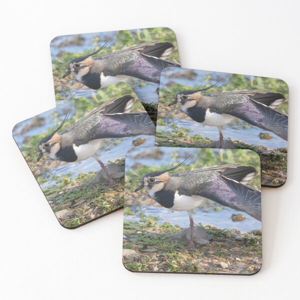 Item preview, Lapwing designed and sold by LaurenTucker.