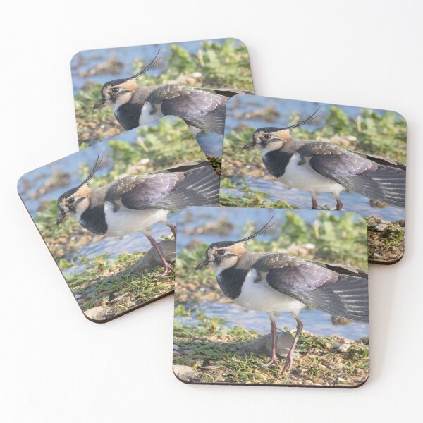 Item preview, Lapwing designed and sold by LaurenTucker.