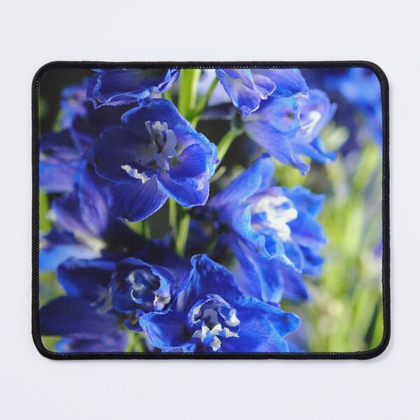 Item preview, Blue Delphinium designed and sold by bloomingvine.