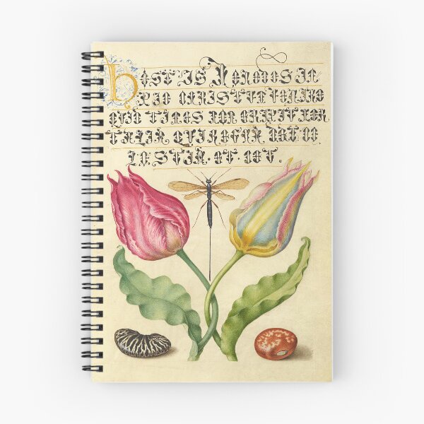 Item preview, Naturalist Manuscript Insect, Flowers and Vegetables Illumination: Flowers, and by Joris Hoefnagel  designed and sold by Naturalist Prints.
