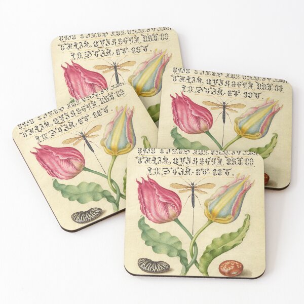 Item preview, Naturalist Manuscript Insect, Flowers and Vegetables Illumination: Flowers, and by Joris Hoefnagel  designed and sold by Naturalist Prints.