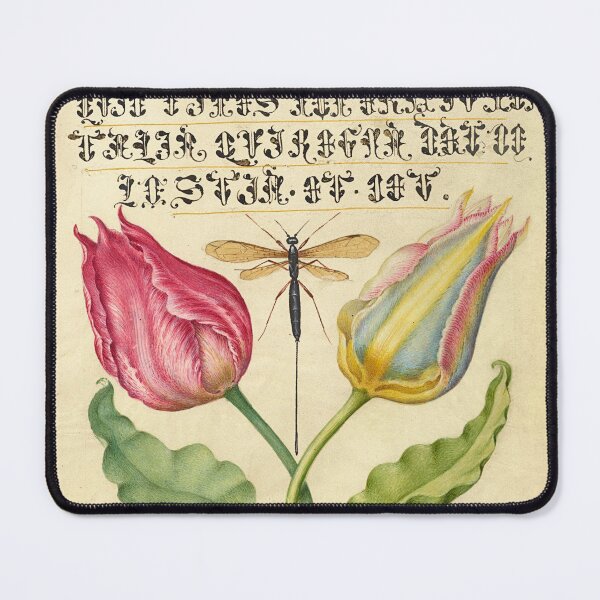 Item preview, Naturalist Manuscript Insect, Flowers and Vegetables Illumination: Flowers, and by Joris Hoefnagel designed and sold by Naturalist Prints.