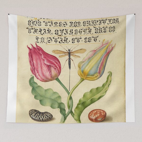 Item preview, Naturalist Manuscript Insect, Flowers and Vegetables Illumination: Flowers, and by Joris Hoefnagel  designed and sold by Naturalist Prints.