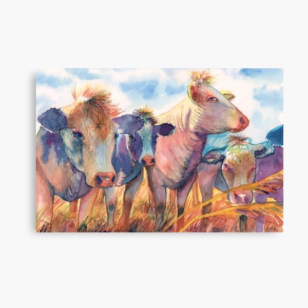 Brussels countryside cows. Canvas Print