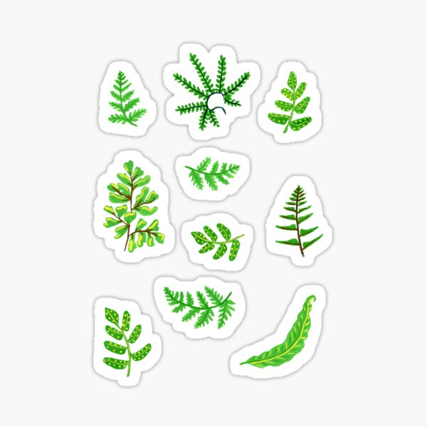 Item preview, Ferns in Gouache designed and sold by paintedpansy.