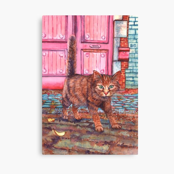 Brussels countryside cat. Canvas Print