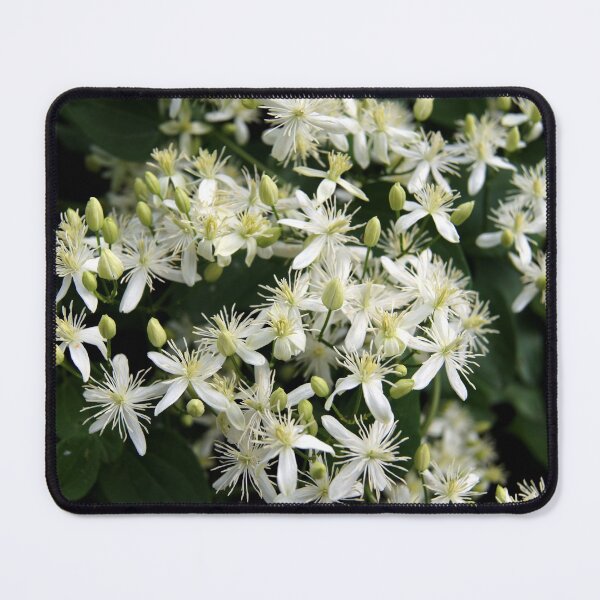 Item preview, Prickly Sensation designed and sold by Offshoots12.