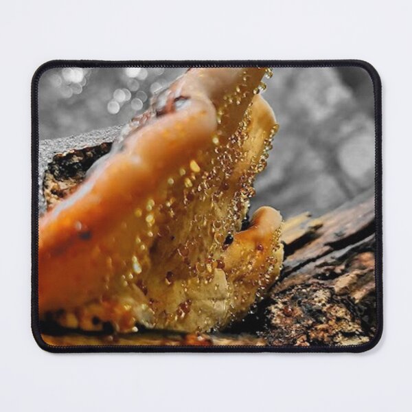 Item preview, cool mushroom with droplets colour isolation  designed and sold by Demonmushroom.