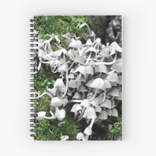 Item preview, fairy inkcap mushroom photo edit designed and sold by Demonmushroom.