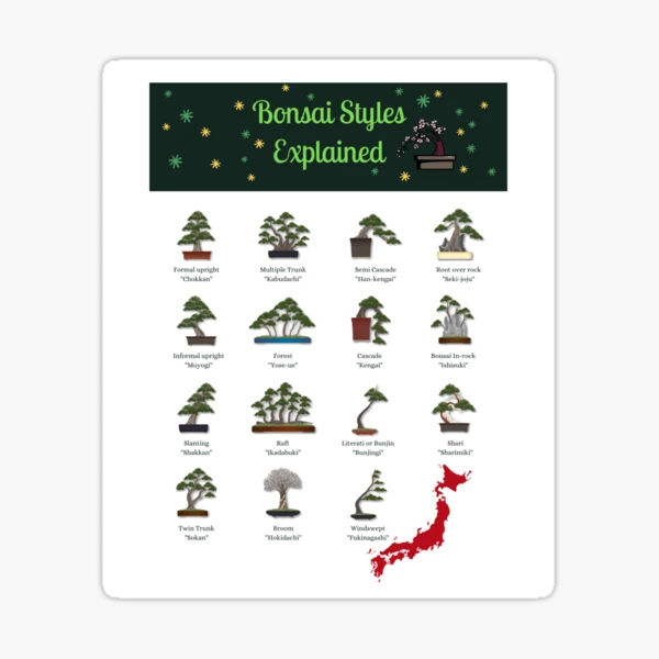 'Bonsai Styles Explained ' Sticker for Sale by surecanmakeit | Redbubble
