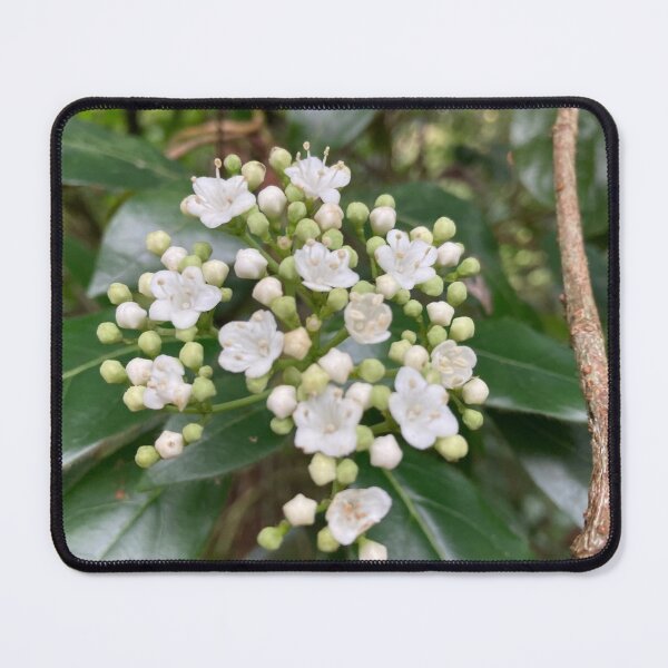 Item preview, Viburnum  In Flower designed and sold by OByD.