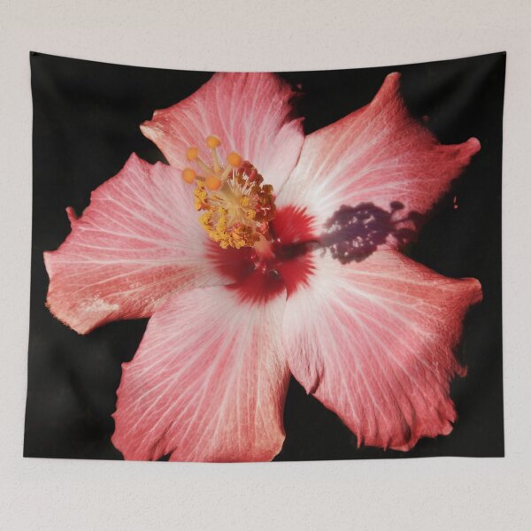 Item preview, Afternoon Angle 11/01/21 Phased Pink designed and sold by Mark Polk.