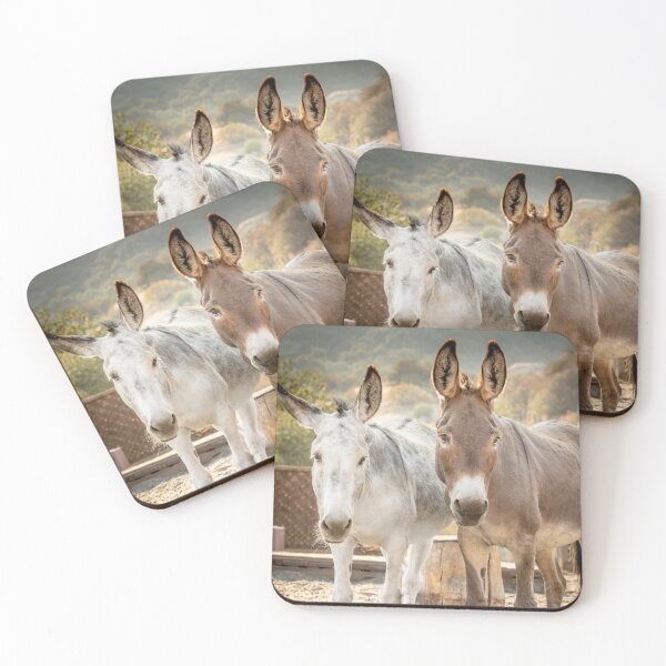Item preview, Bubba & Maybelline Healing Donkeys designed and sold by Equipowerment.