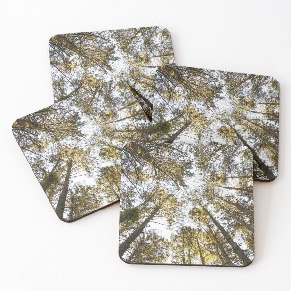 Item preview, Forest Trees designed and sold by JoshuaSmall.