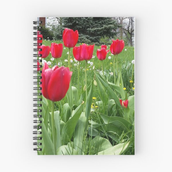 Item preview, Tulips designed and sold by jupiterarts.