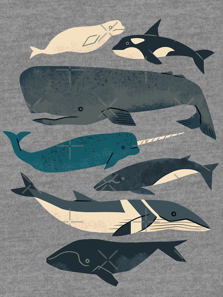 Whales Ahoy by rlthull