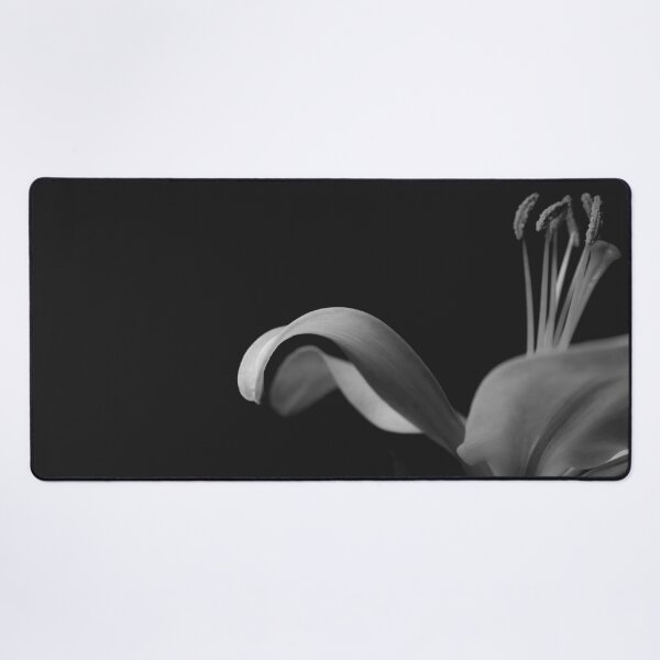 Item preview, Black and White Photograph of a Lily on a Black Background - Garden designed and sold by Lisa Thomas.