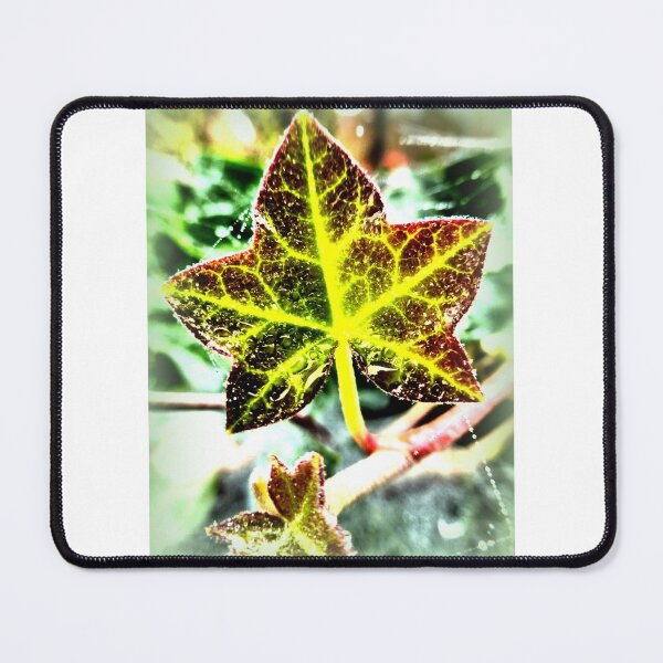 Item preview, Ivy leaf with dew designed and sold by angel1.